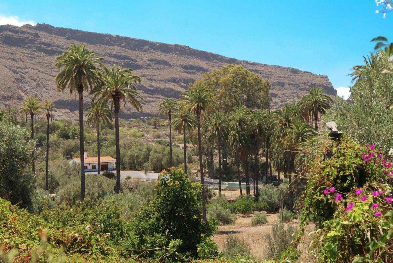 Casa Rural El Olivar La Almazara Santa Lucía Extérieur photo
