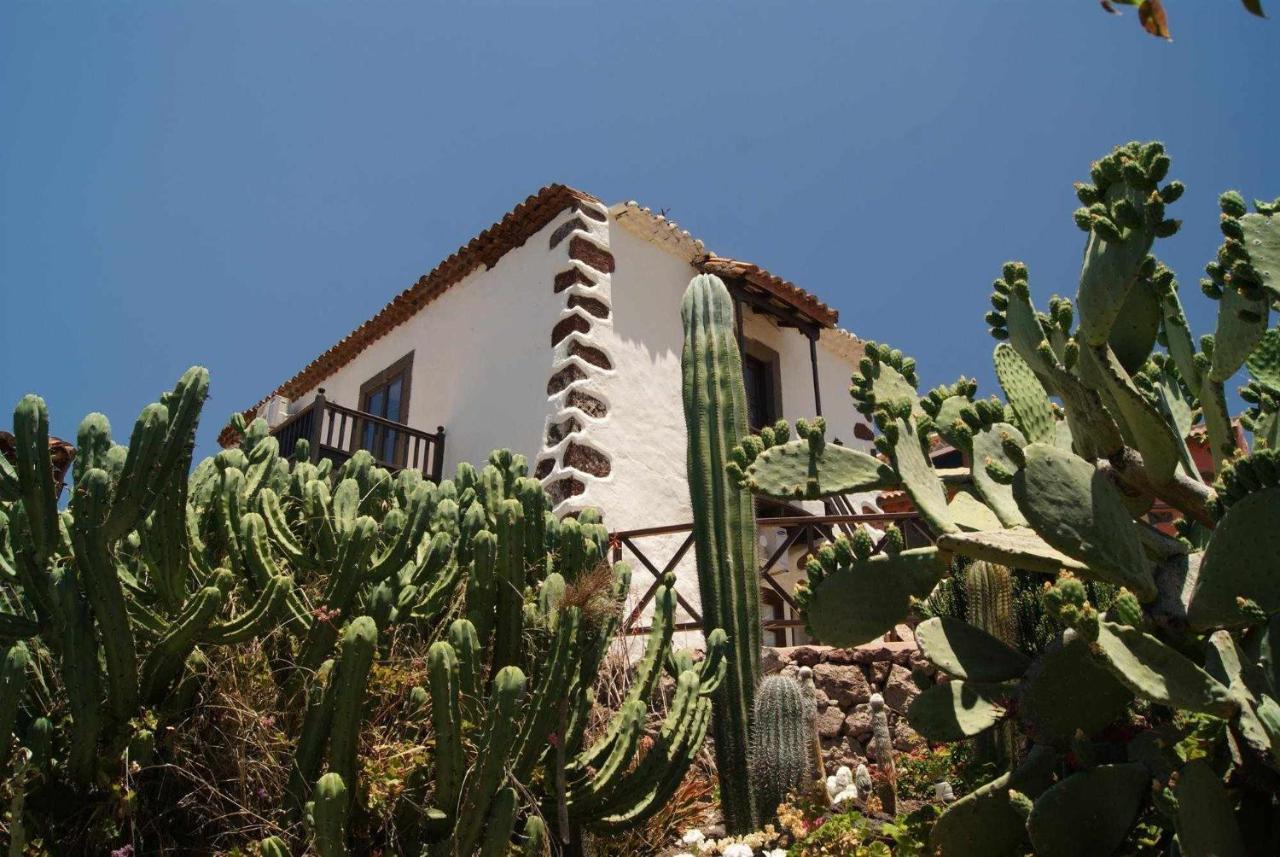 Casa Rural El Olivar La Almazara Santa Lucía Extérieur photo